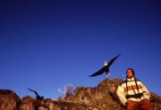 American Indian with Bald Eagle