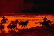 Two Cowboy -herding Horses by the river